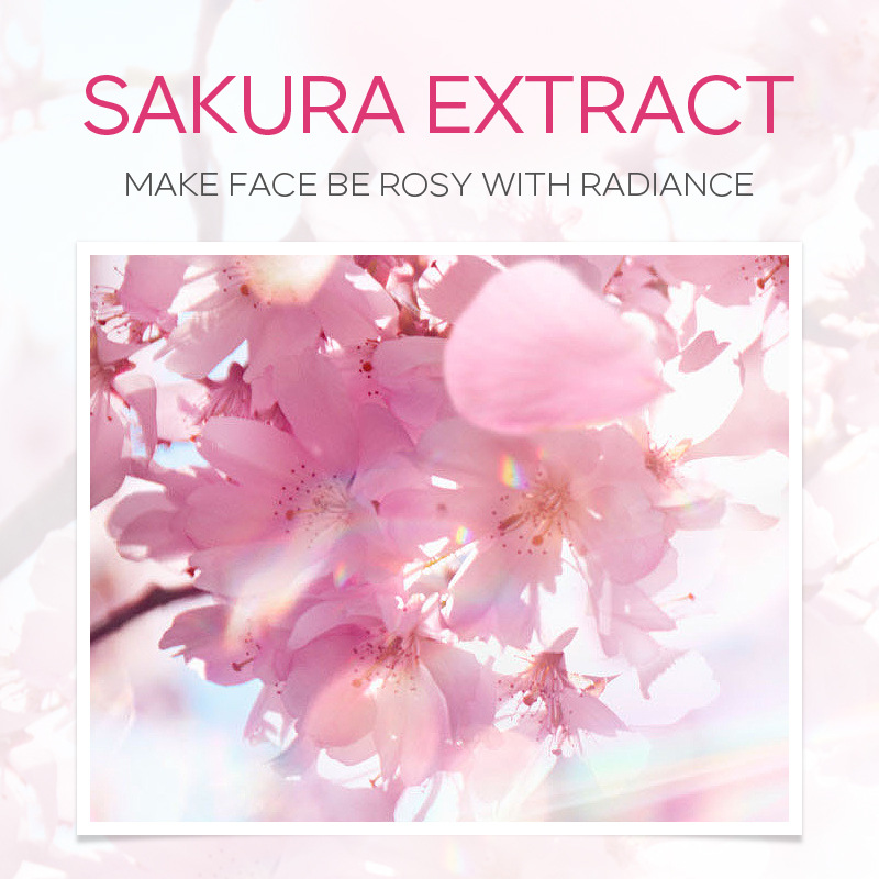 Japan Sakura Facial Cleaner Ko – Korean Skincare Routine Bewertung und Preis