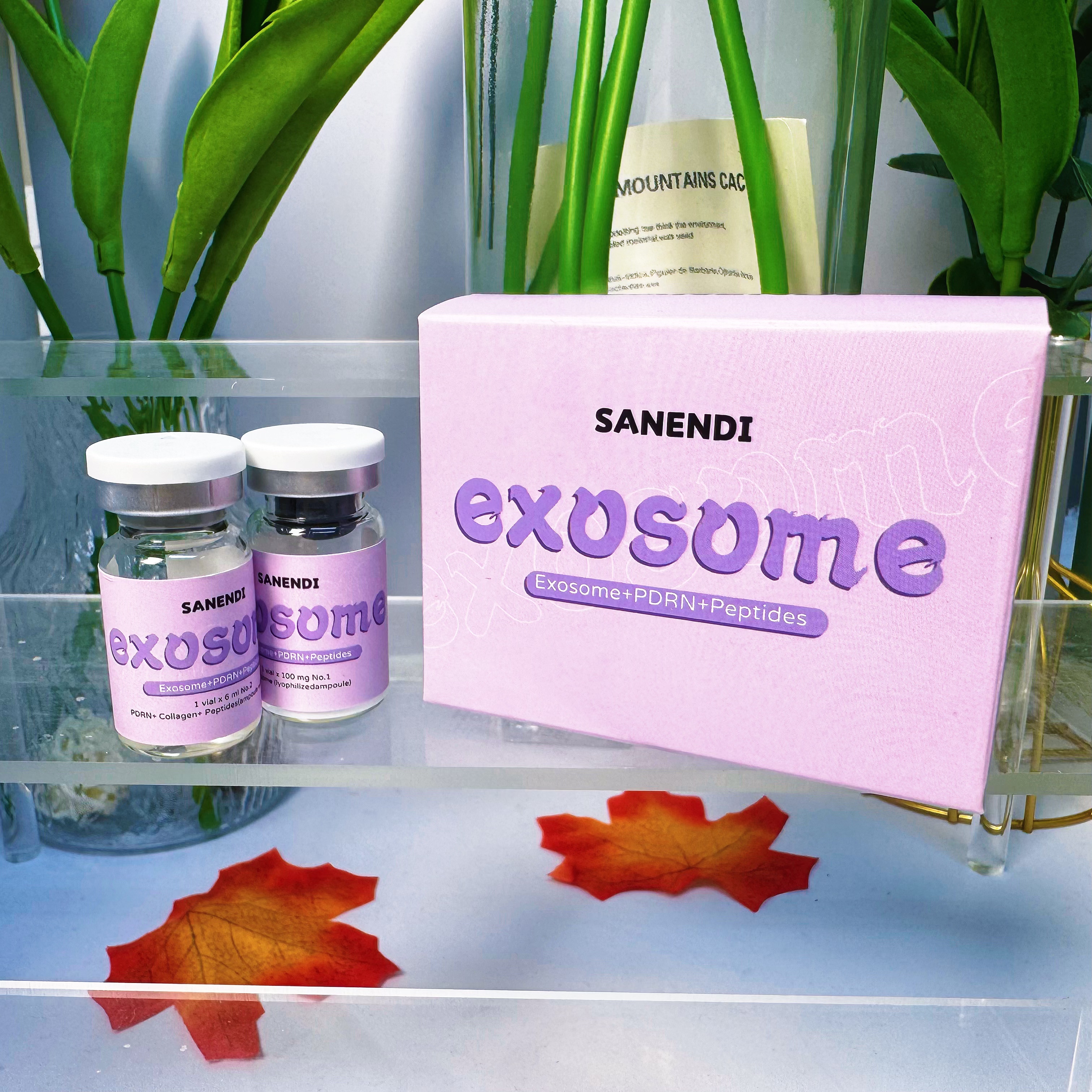 Sanendi Korean New Technology  – Korean Skincare Routine Bewertung und Preis